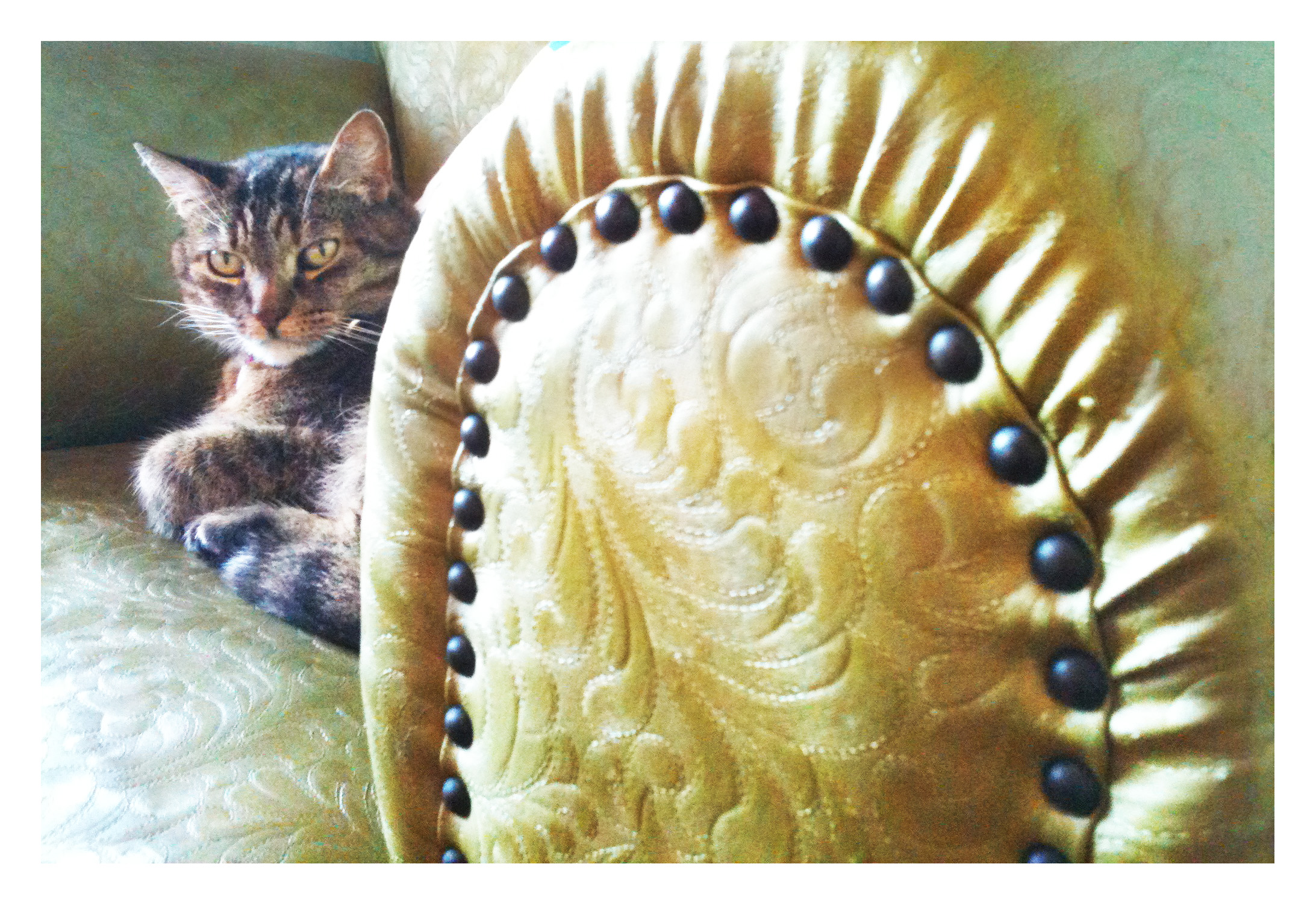 Poes