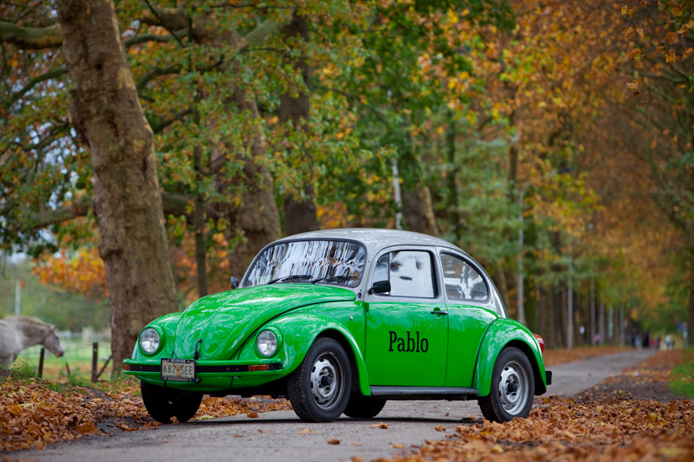 Pablo de Kever in het bos!